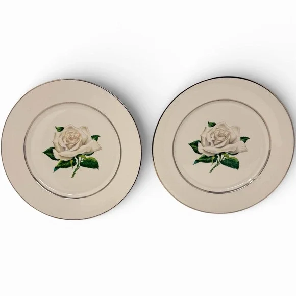 Set of 2 Embassy Vitrified White Rose - Dinner Plate - 10 1/8" Diameter - Picture 1 of 11